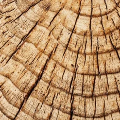 Indoor/Outdoor Faux Concrete Stump Accent Table Brown - Threshold™ Designed With Studio McGee 9 Indoor/Outdoor Faux Concrete Stump Accent Table Brown - Threshold™ Designed With Studio McGee -Decor Haven Shop GUEST 03deabfd 2b62 4725 94b4 09a321ea8678