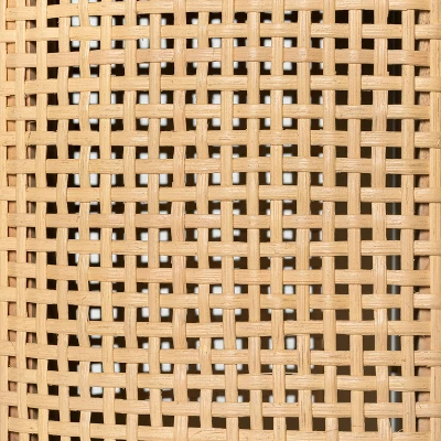 Portola Hills Caned Door TV Stand For TVs Up To 60" - Threshold™ Designed With Studio McGee 5 Portola Hills Caned Door TV Stand For TVs Up To 60" - Threshold™ Designed With Studio McGee - Image 5